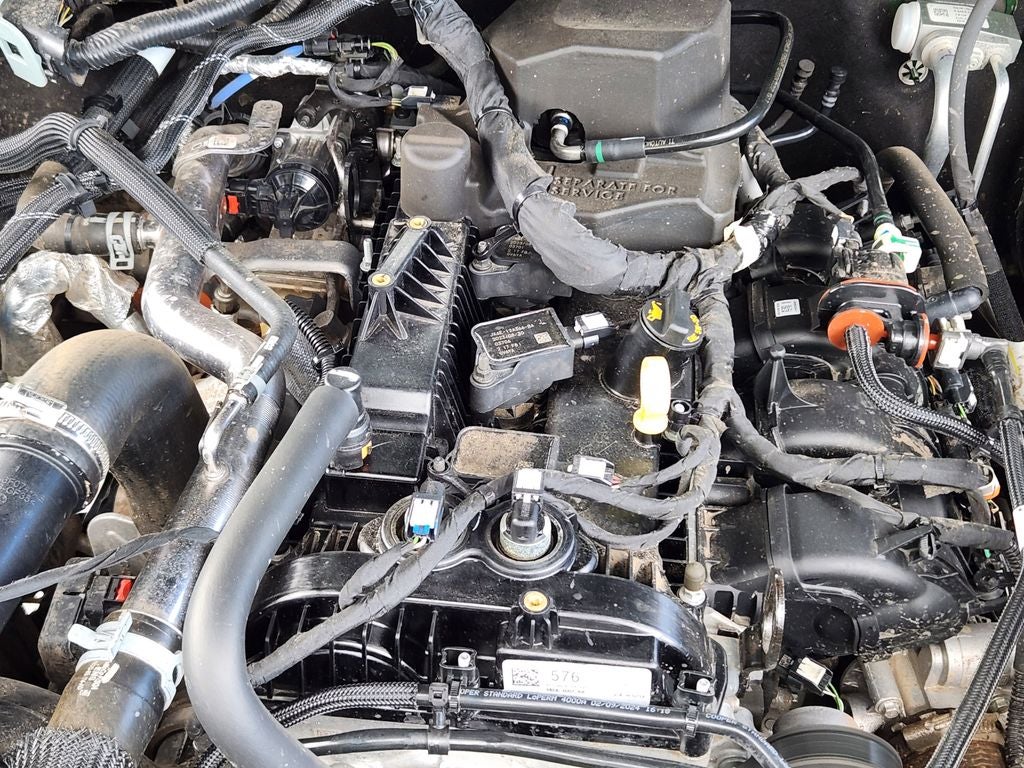 2024 Ford Bronco Everglades