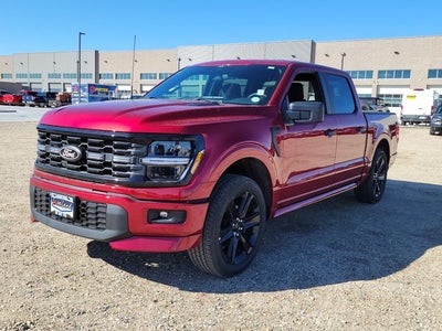 2026 Ford F-150 STX LOBO