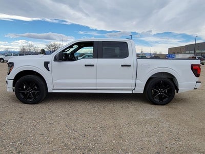 2026 Ford F-150 STX LOBO