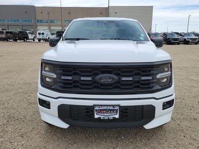 2026 Ford F-150 STX LOBO