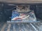 2022 Chevrolet Silverado 2500HD Work Truck