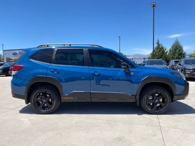 2023 Subaru Forester Wilderness