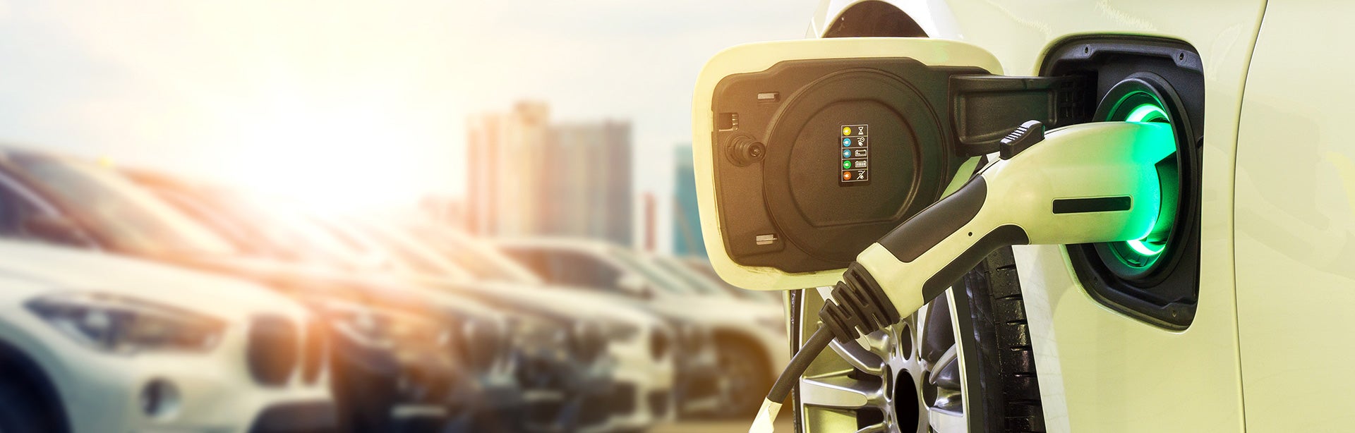 Customize and Order Your EV Today